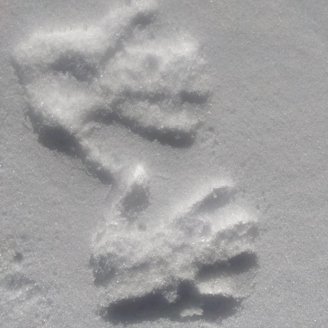 💕握不住的沙💕