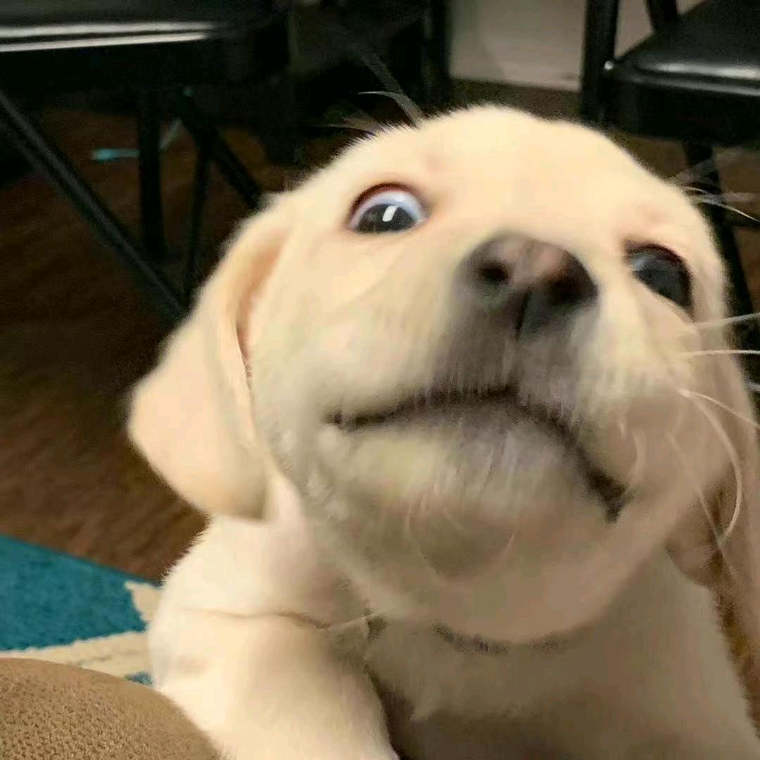 Cc（代跑泪浮力)