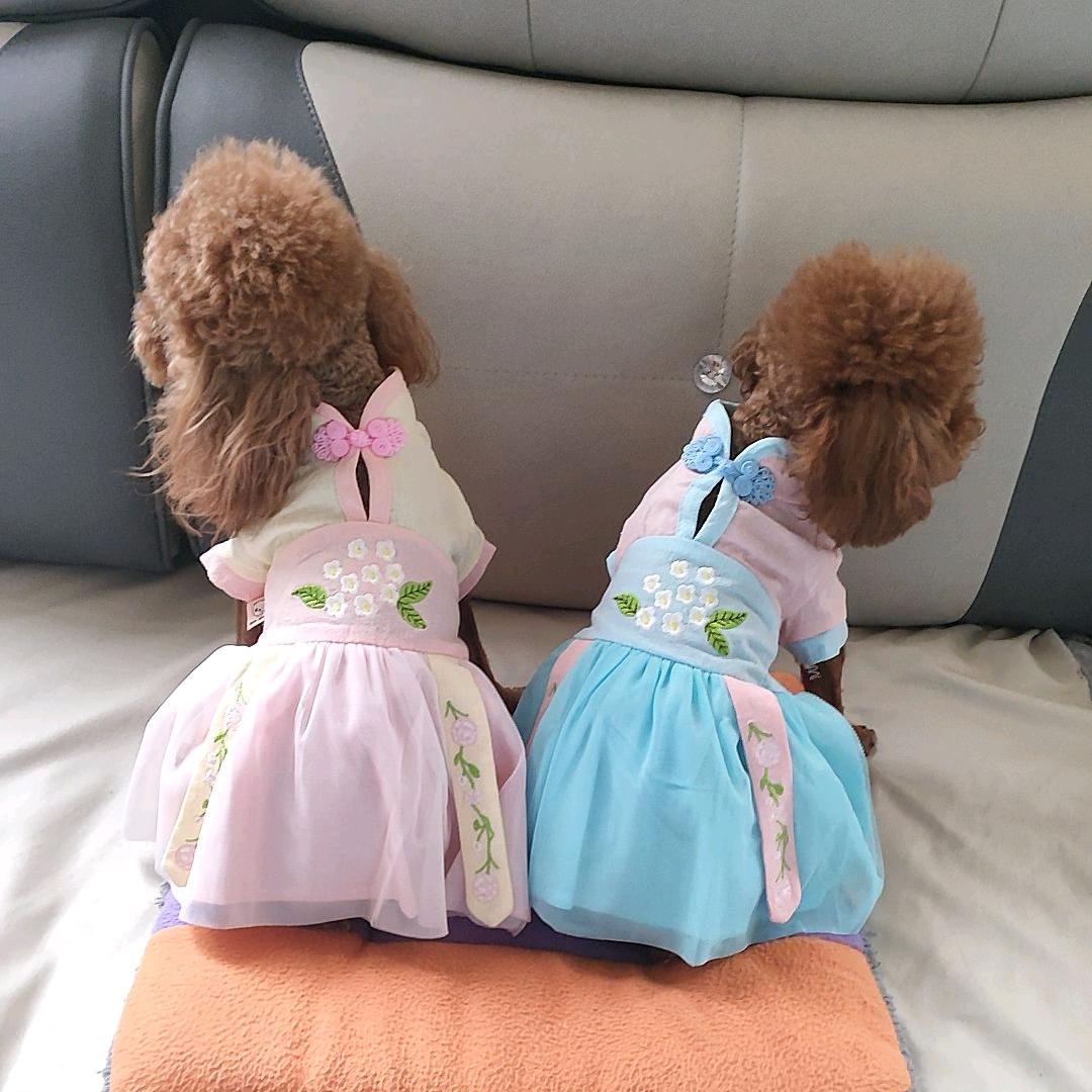 🍎果果🐶哆哆💰