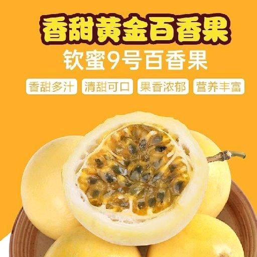 创意生活小铺R31