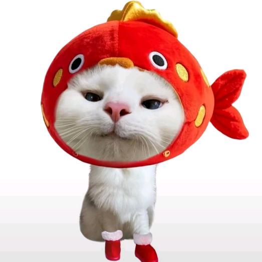 听一千遍反方向的钟