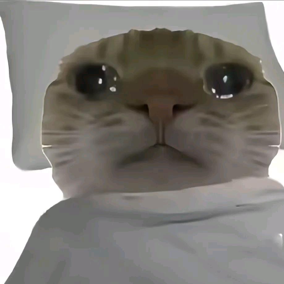 菠萝