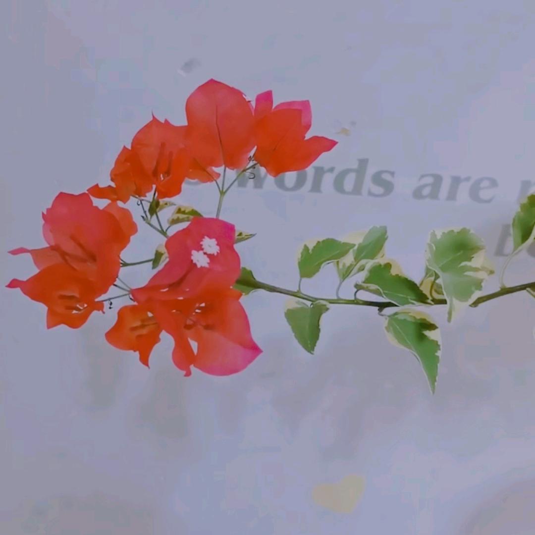 吉祥如意