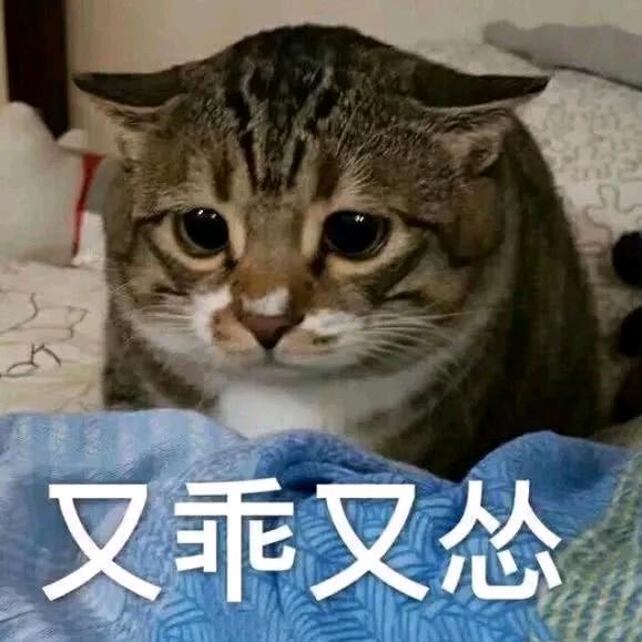 落叶如雨