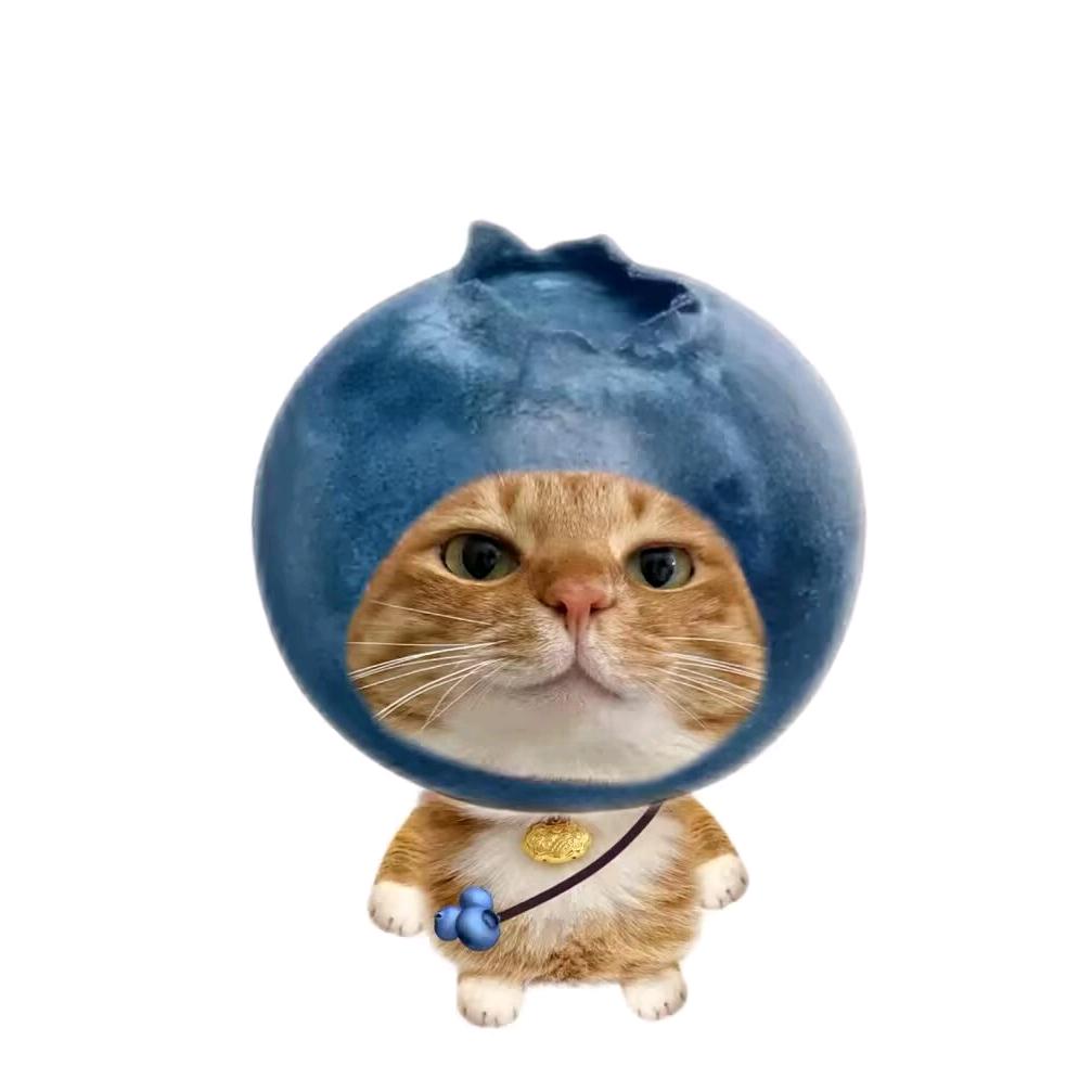 小趴菜打王者