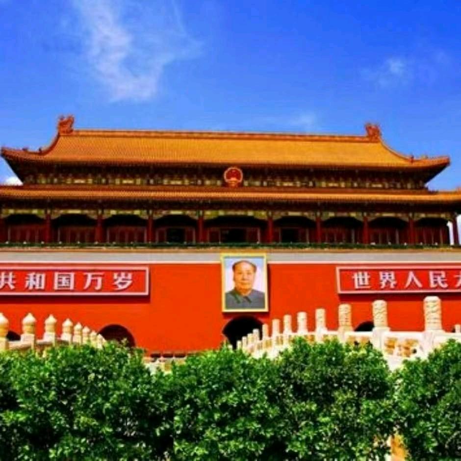 腻子哥开心就好