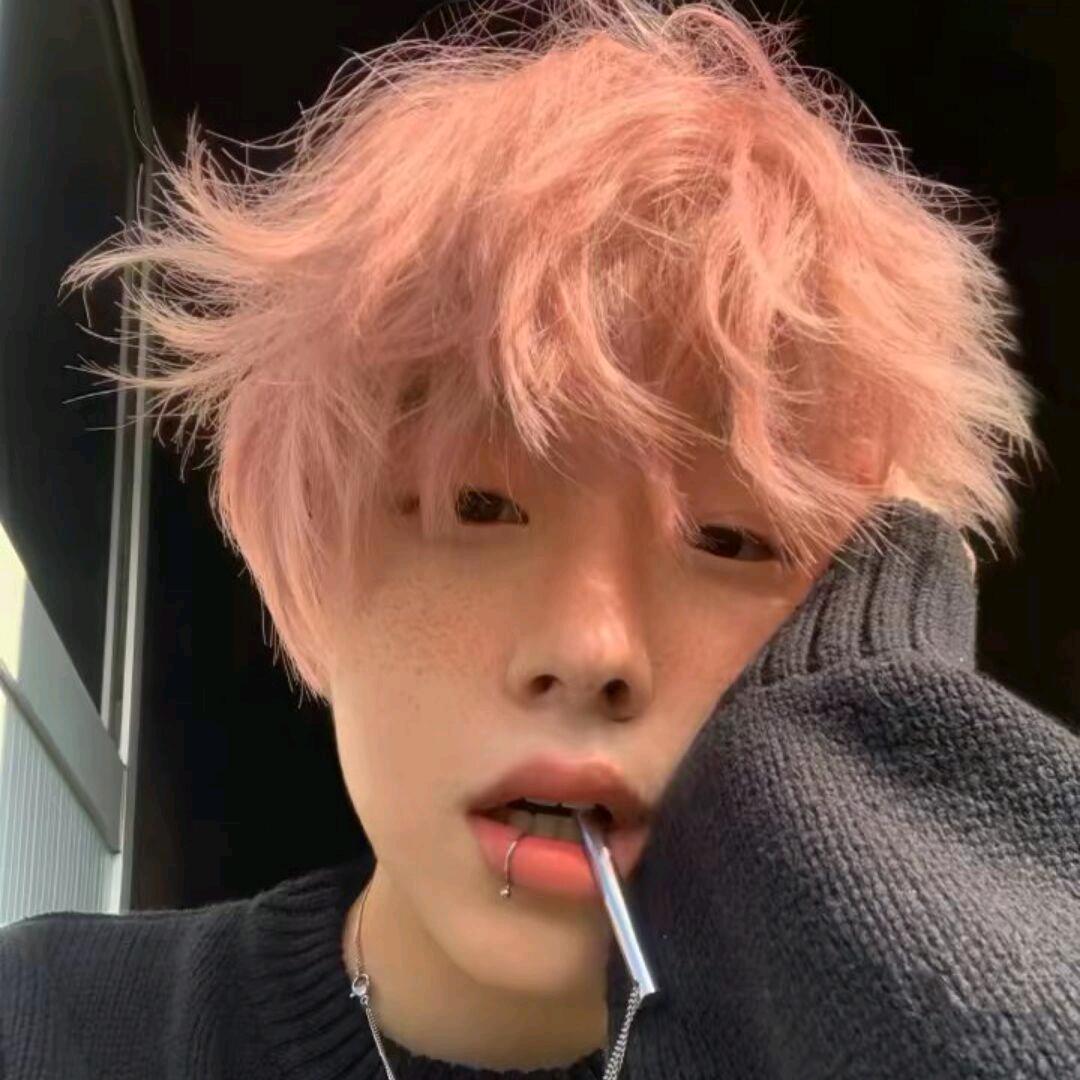 懶小羊