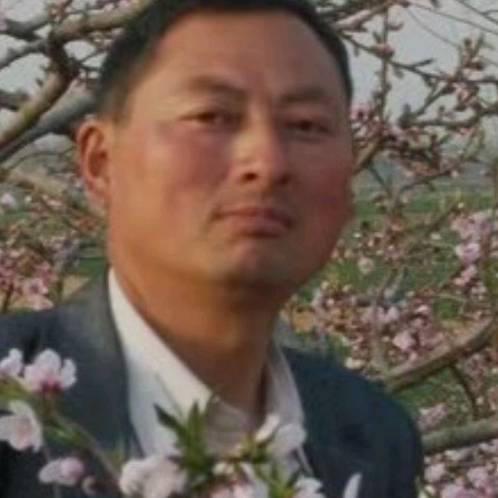 九江龙