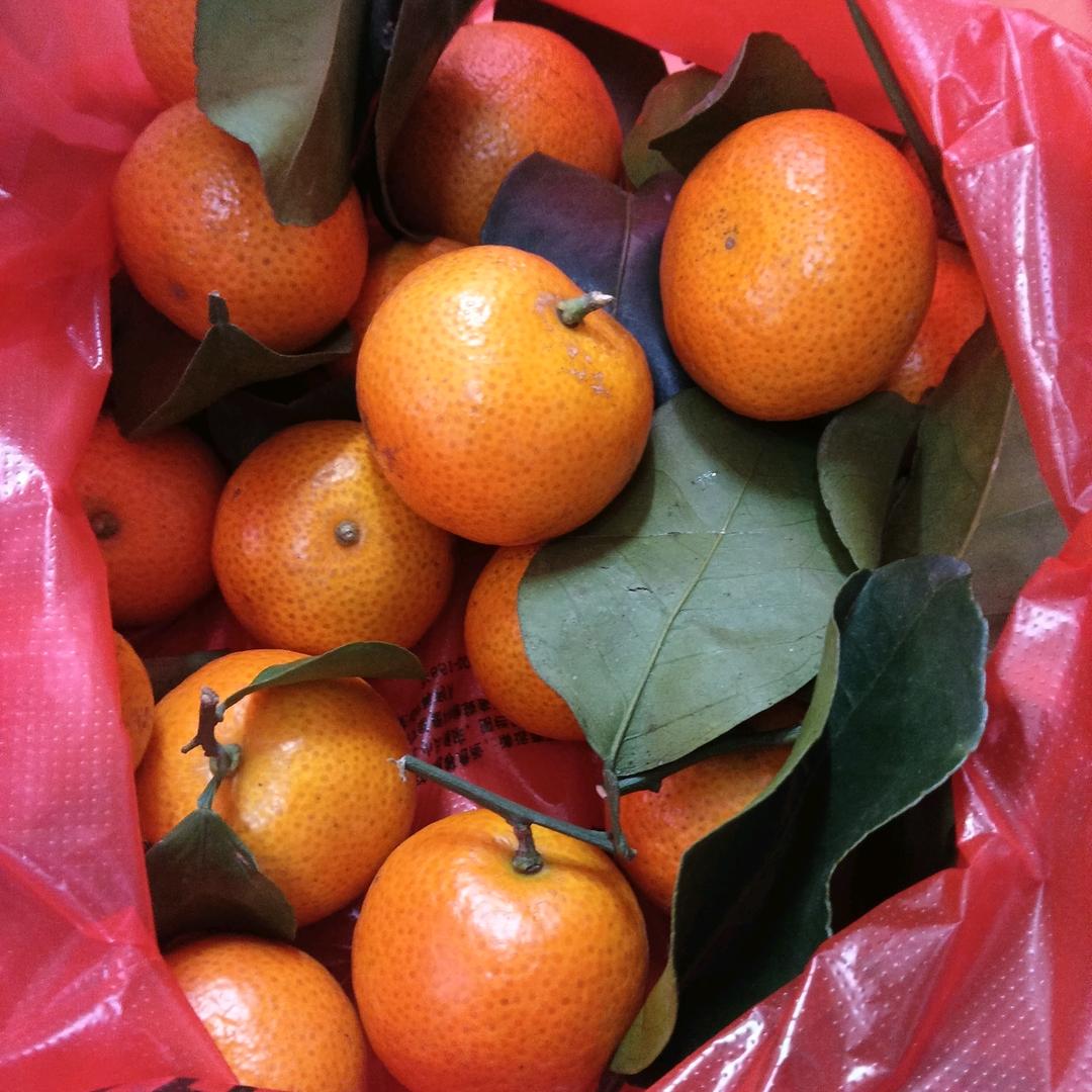 下定决心忘记你