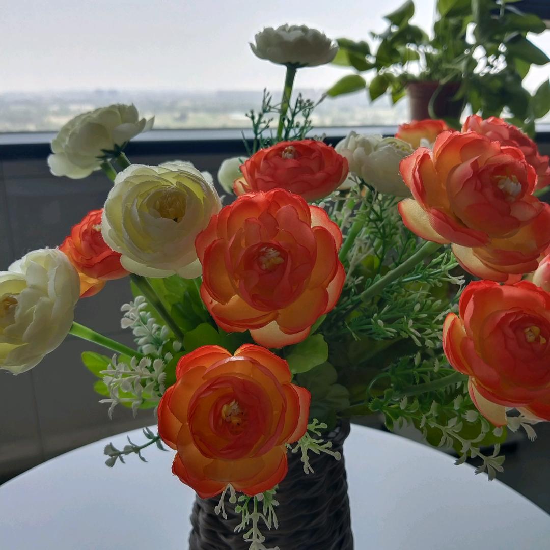 尘年(„ಡωಡ„)往事