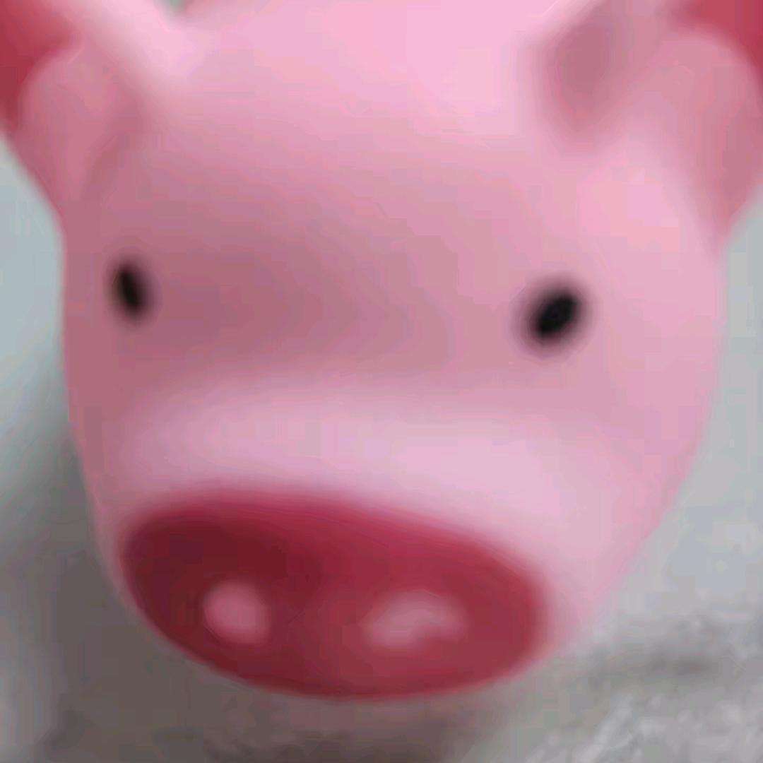 𝙬𝙧𝙞𝙜𝙜𝙡𝙚