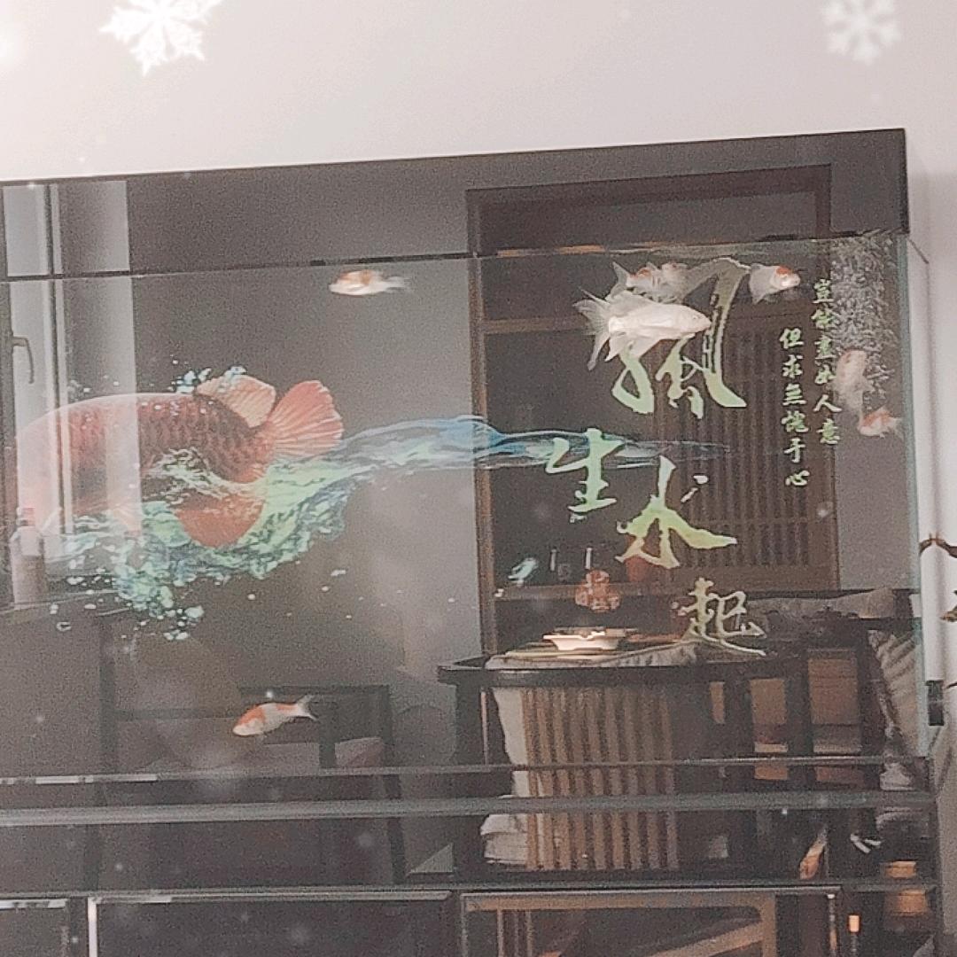 艾梵洗护优选店