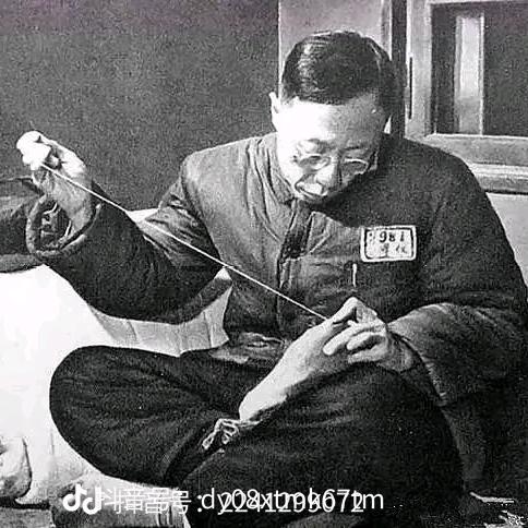 土豆砖家裁缝小能手