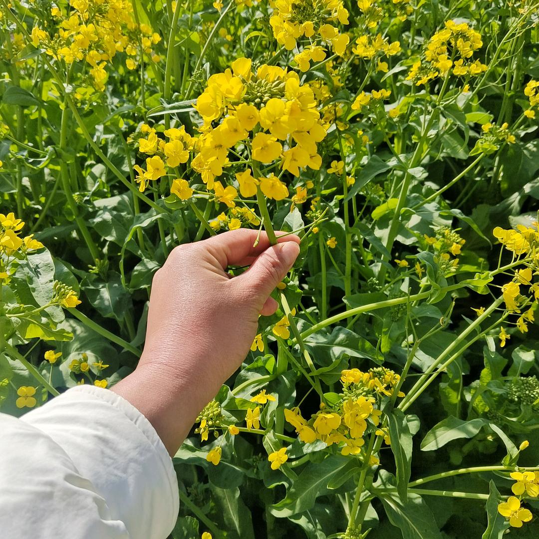 余生₍˄·͈༝·͈˄*₎◞ ̑̑爱自己(