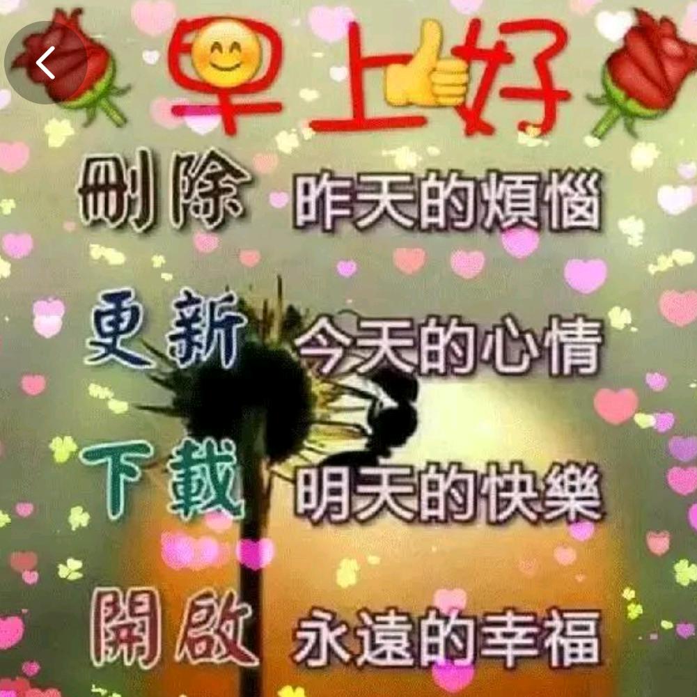 平淡人生🌴🌴