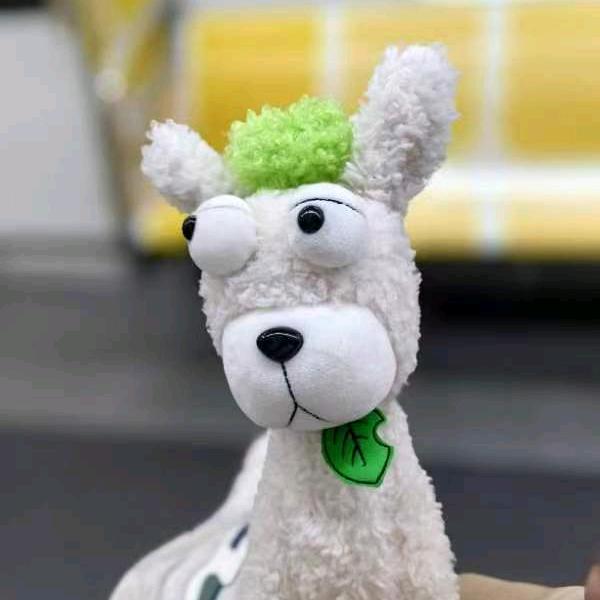 花落知多少。👿