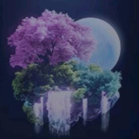 缘分天空