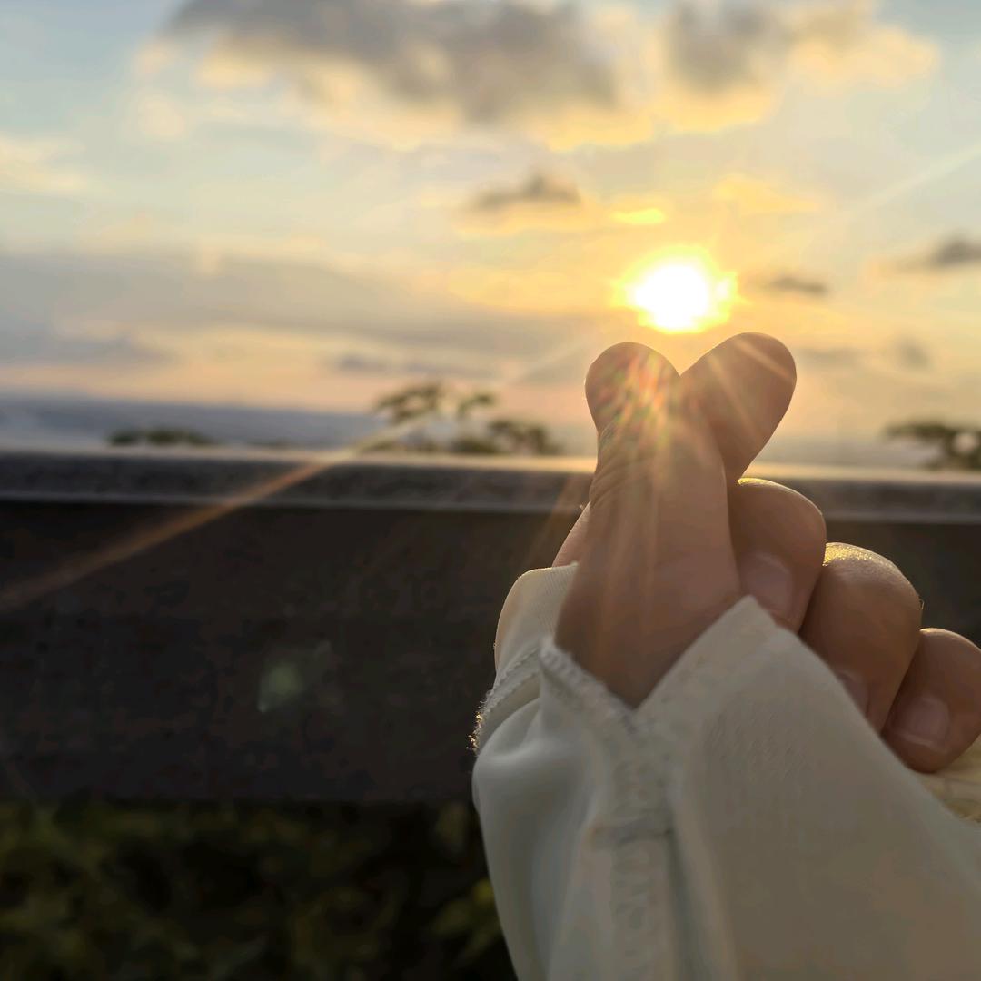 风一样🉐猫咪🎶