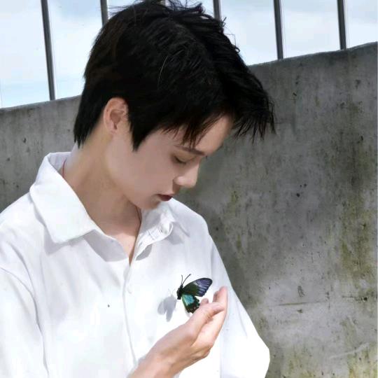 等等家的墨月白🐢