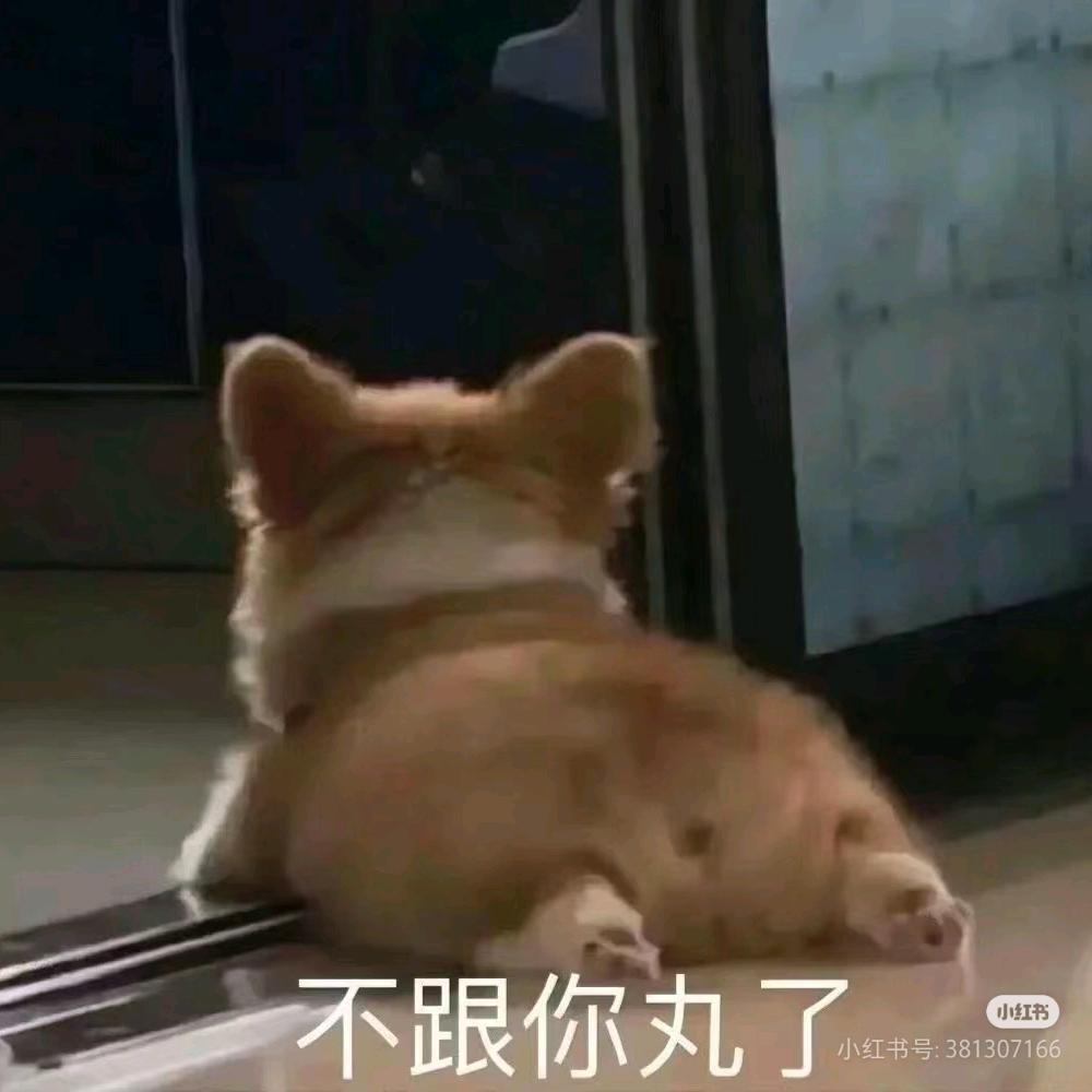 久菜盒子