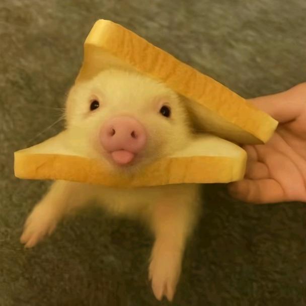 4927