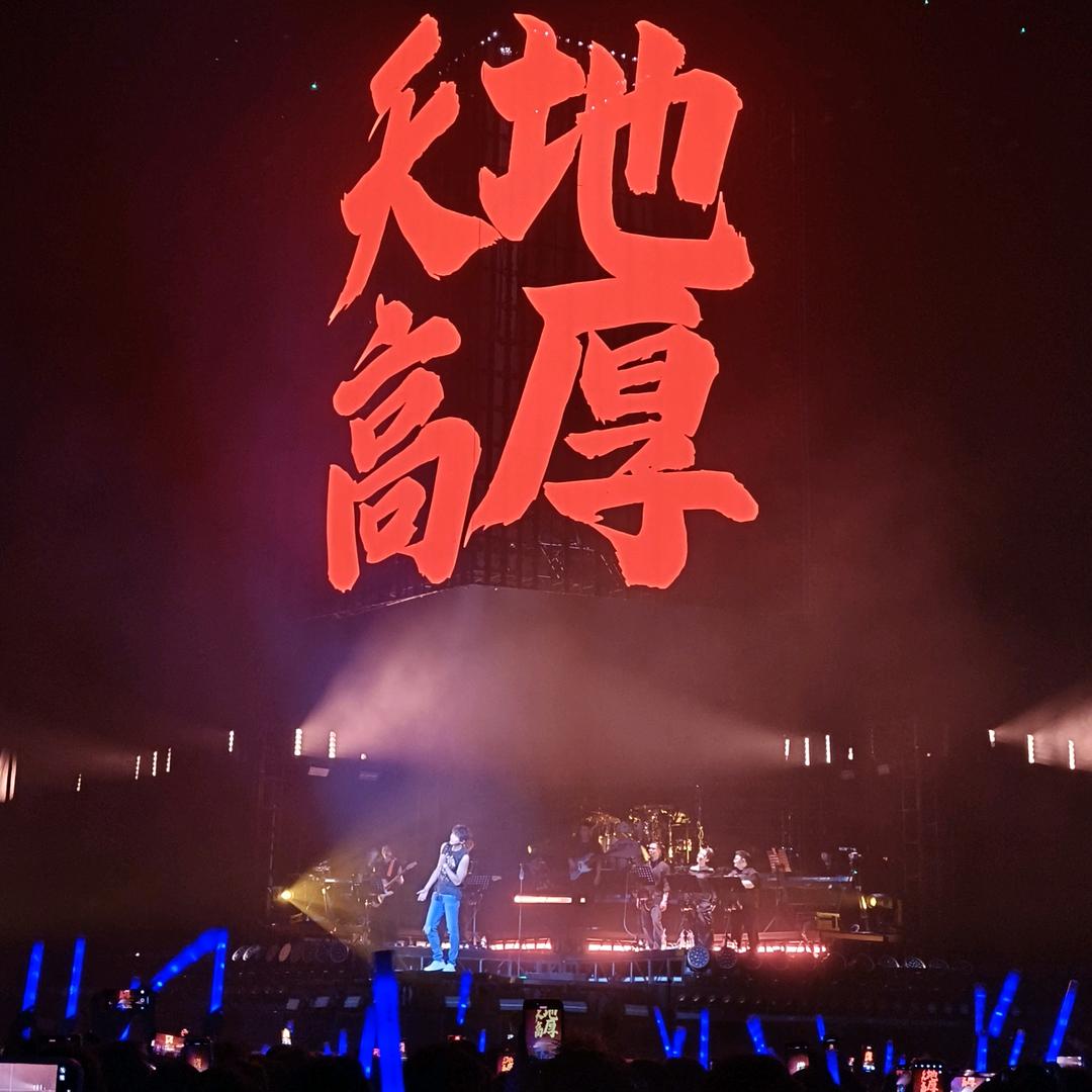 就吃香菜（单身饭）拒绝瞎聊