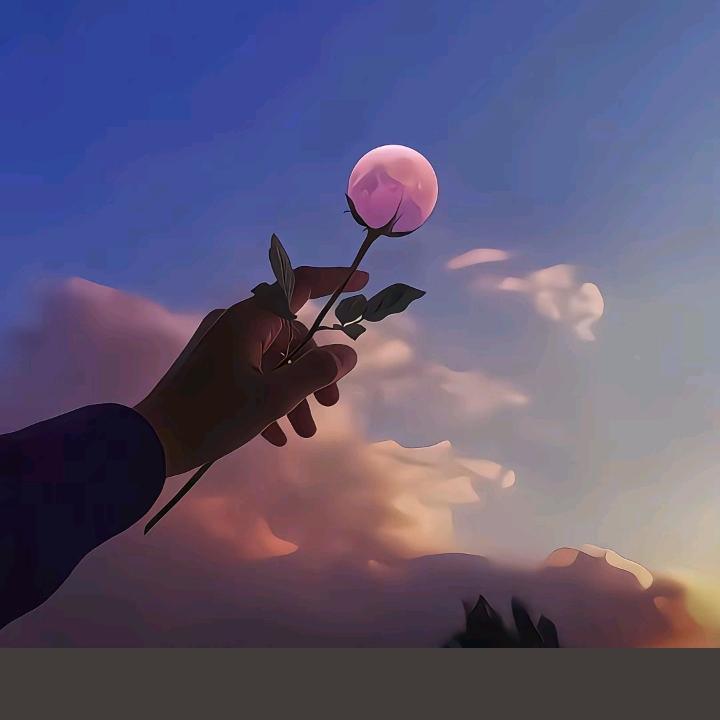 你的生活我的梦