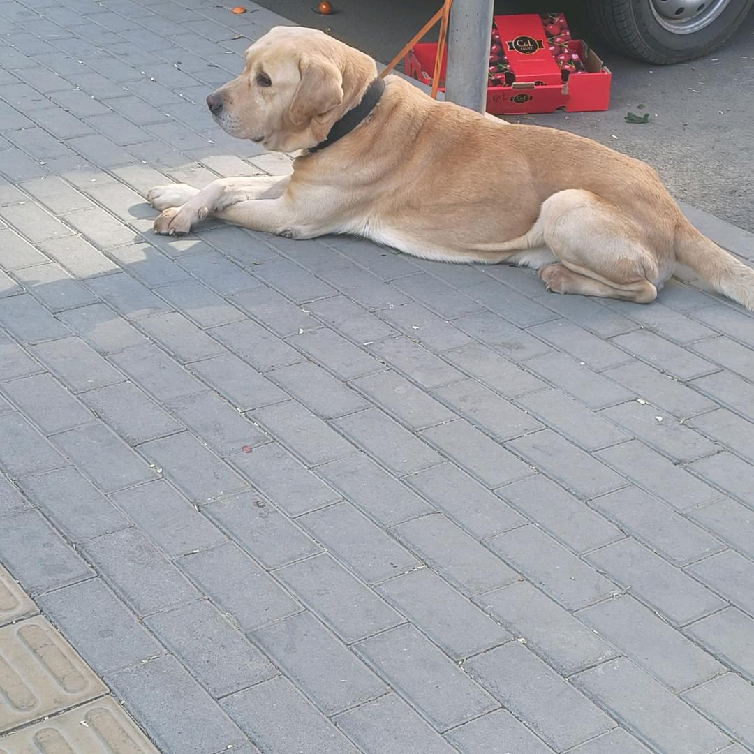 ღ时间ꦼ