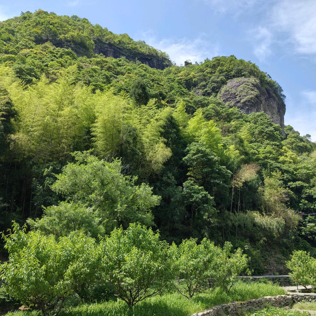 墨沬