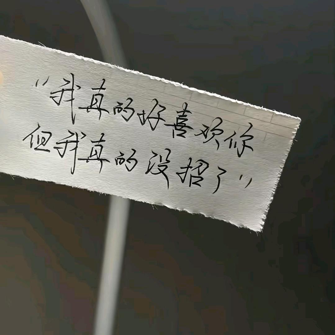 挖机冷挽