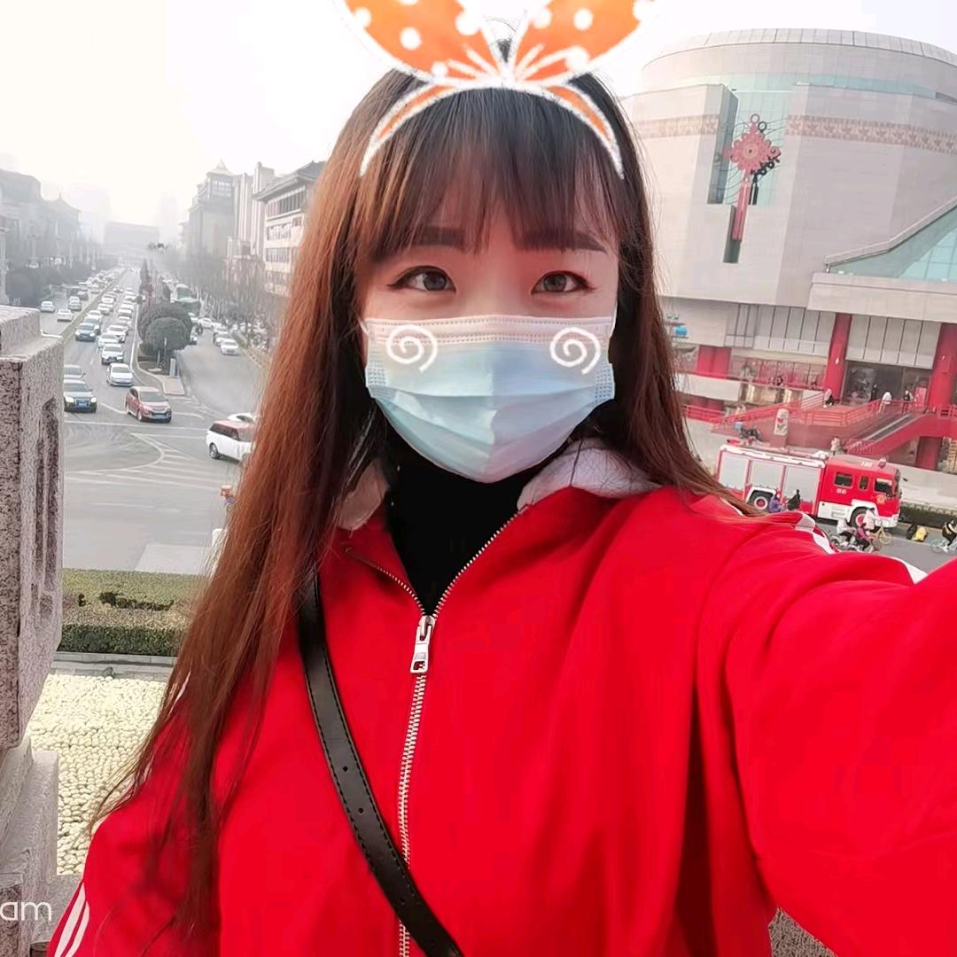 落燕南飞