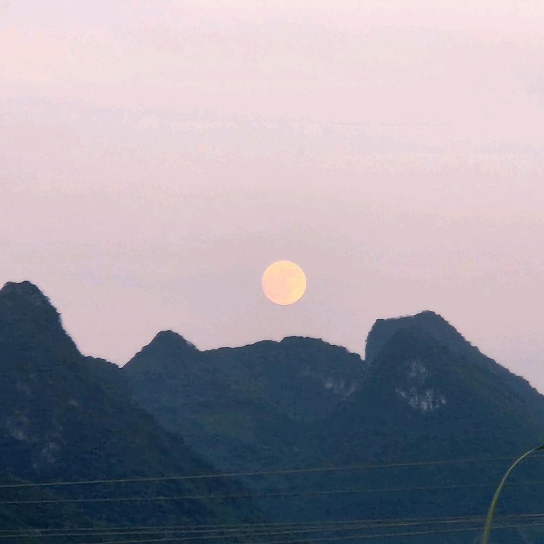 我真的没刹车