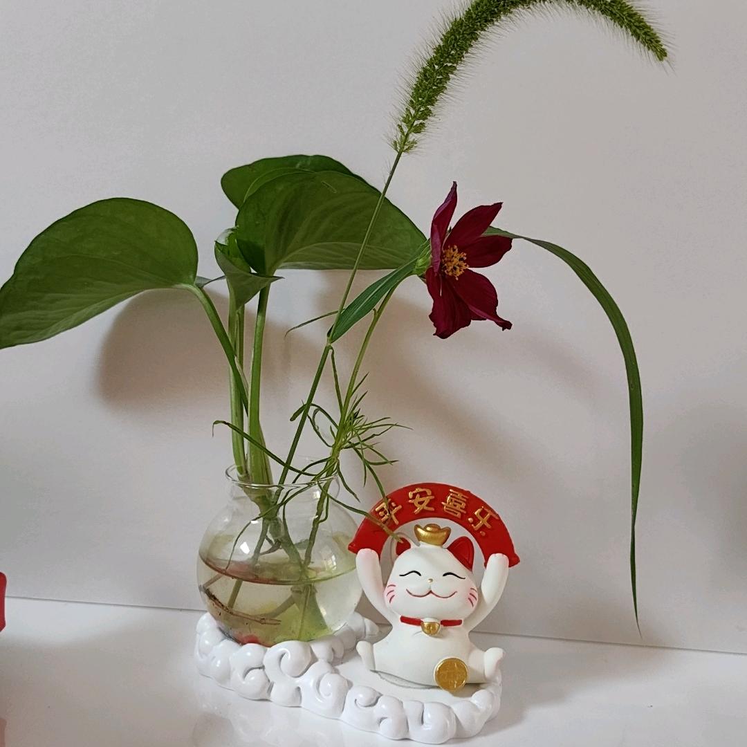 悦丫手指操锻炼