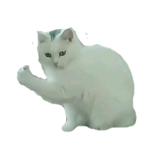 山椒的日子
