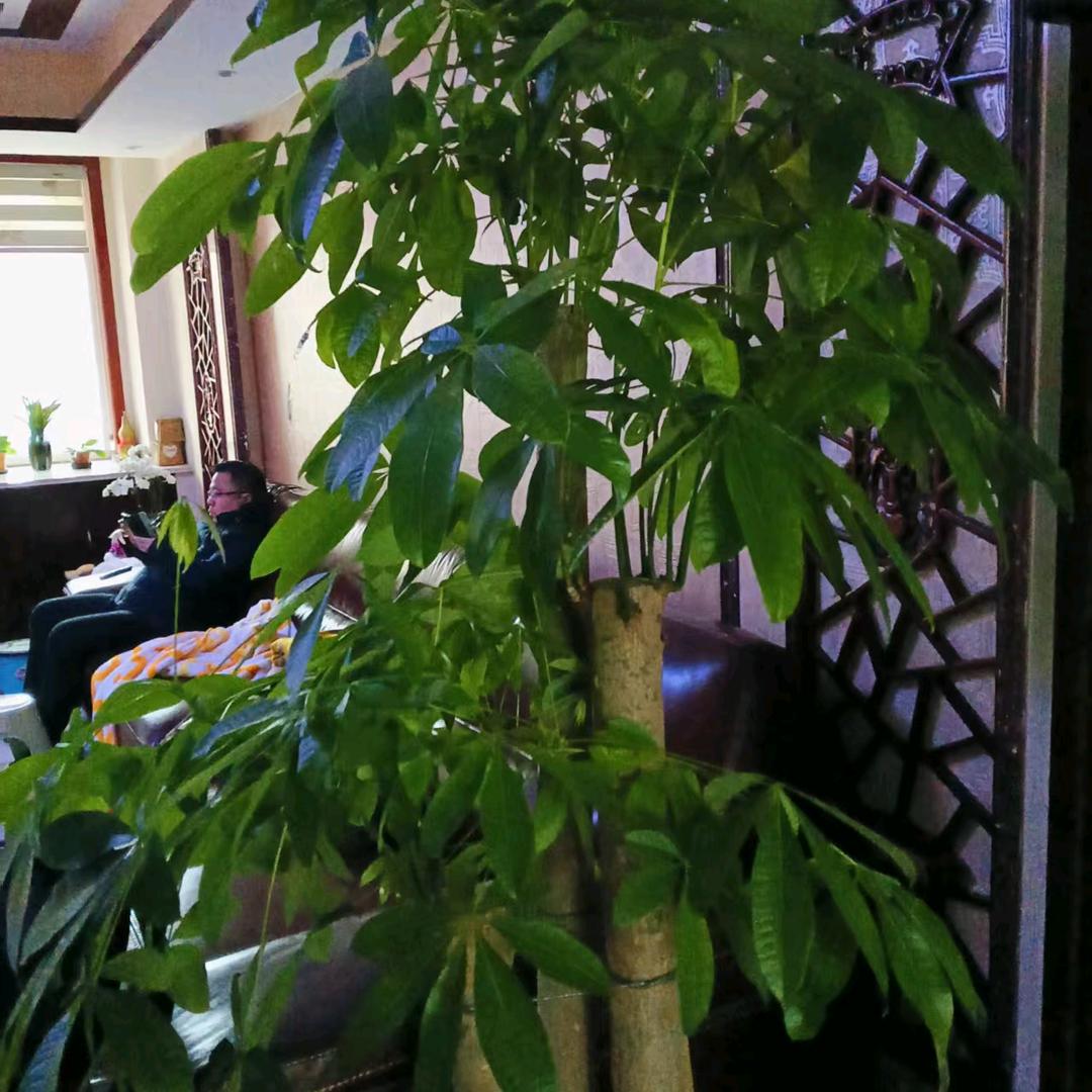 常聚长乐