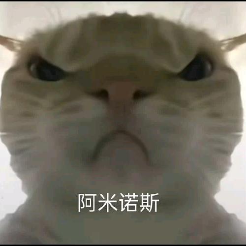 林/.