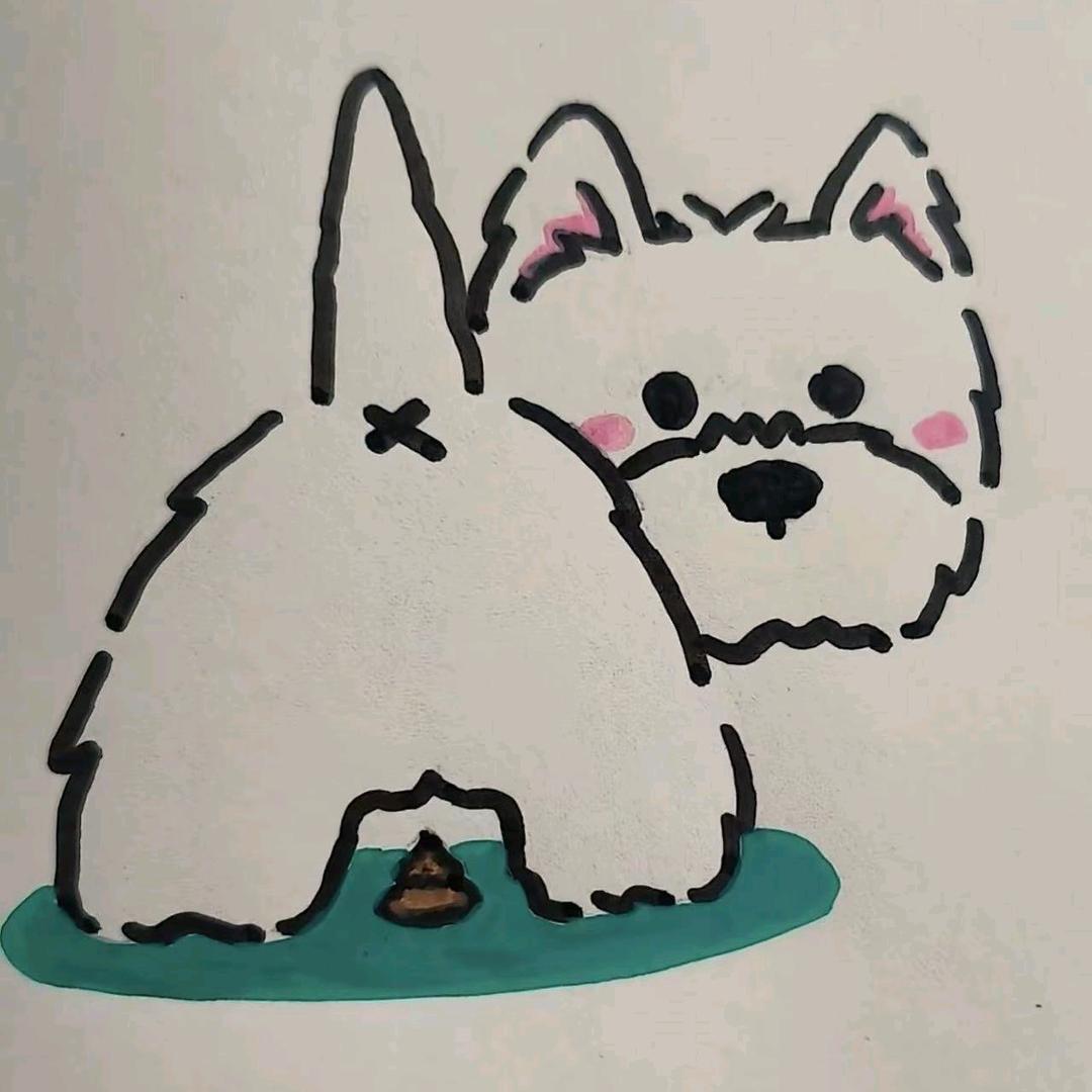 MoMo🐈‍⬛ 🐕