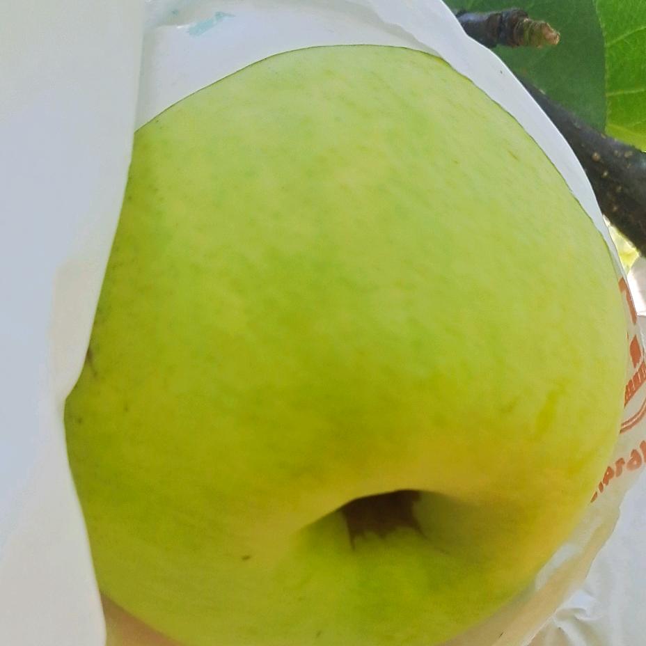 九襄水果    小彪