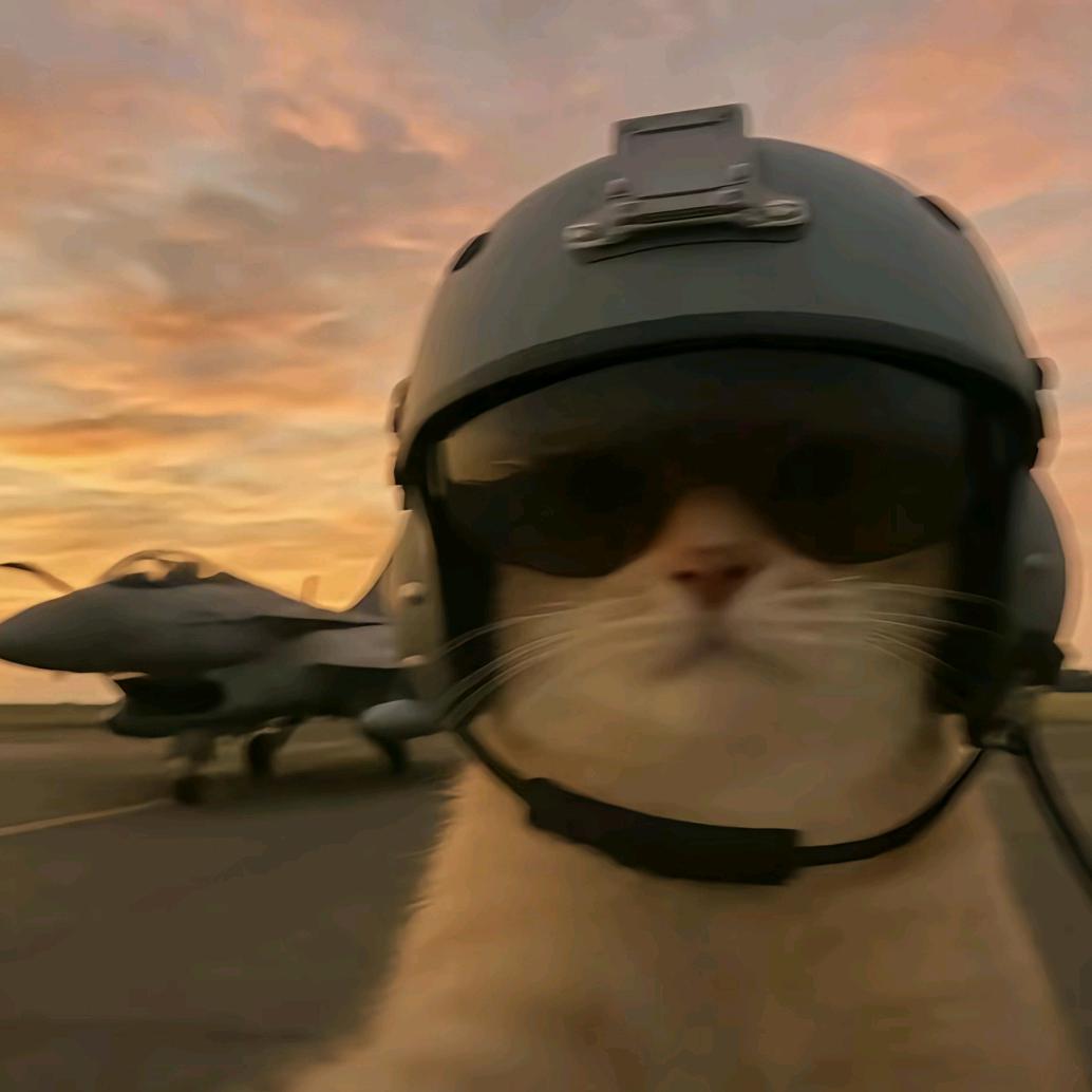 愤怒西瓜头（三角洲跑刀鼠鼠）