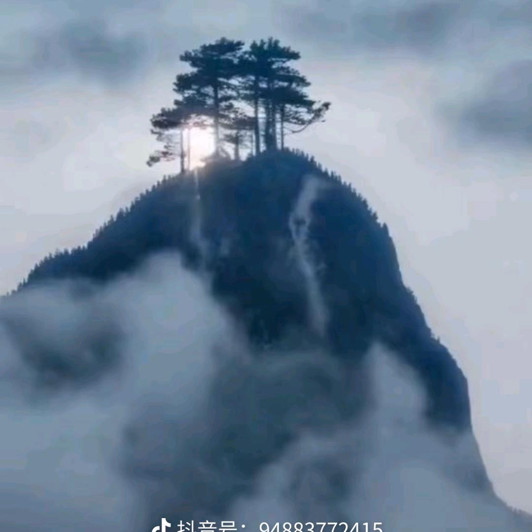 老六pro头像