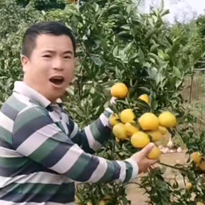 农村娃