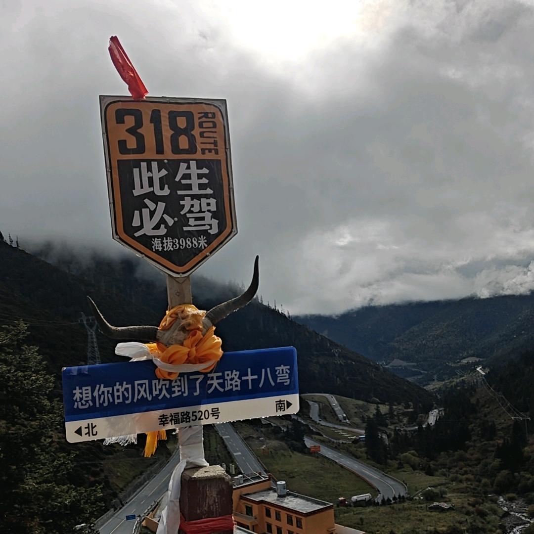 X小鱼小余Y