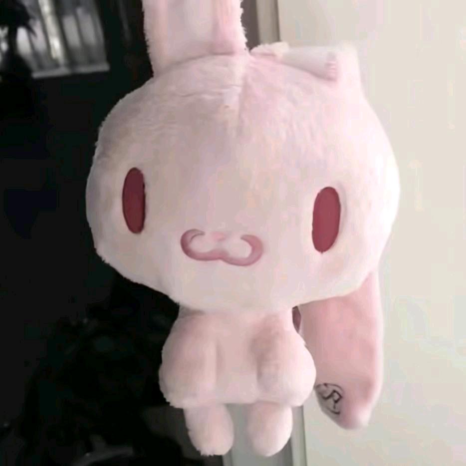 一只耳