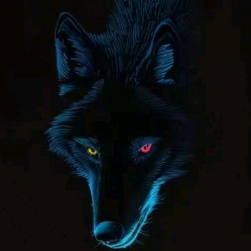 sank（三角洲行动）