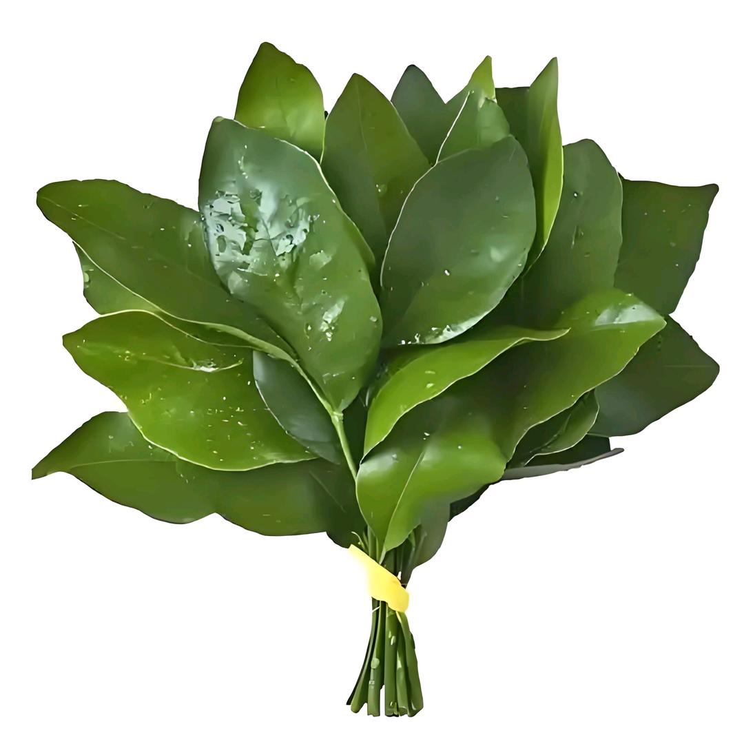 奶茶什么都加女士