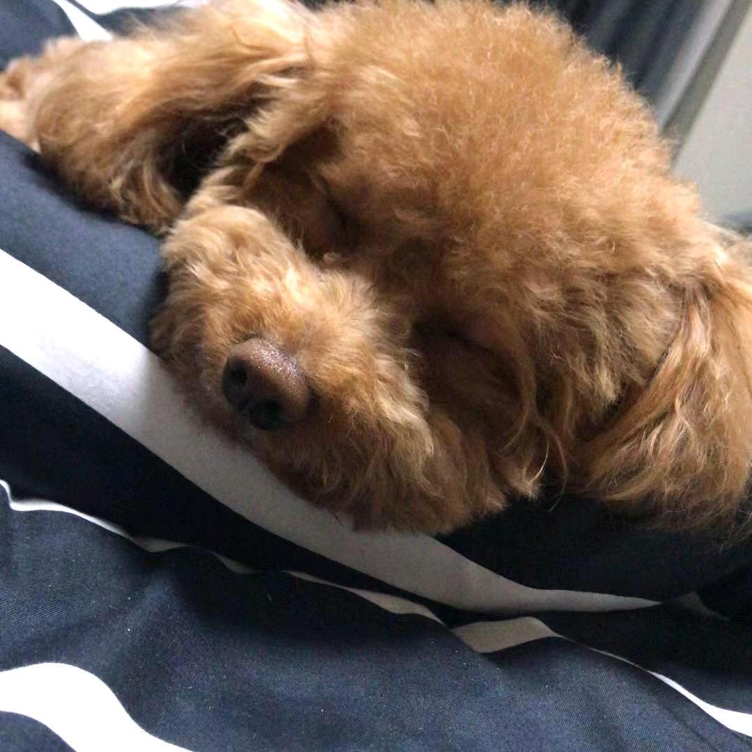 昔年优选好物