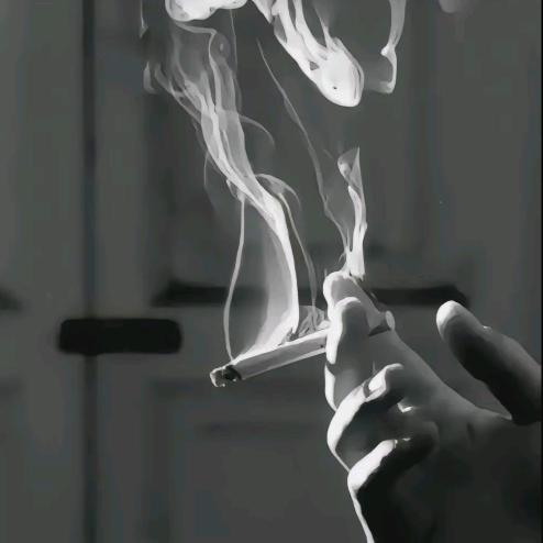 十  五