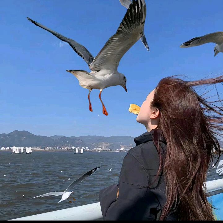 鑫垚自驾游