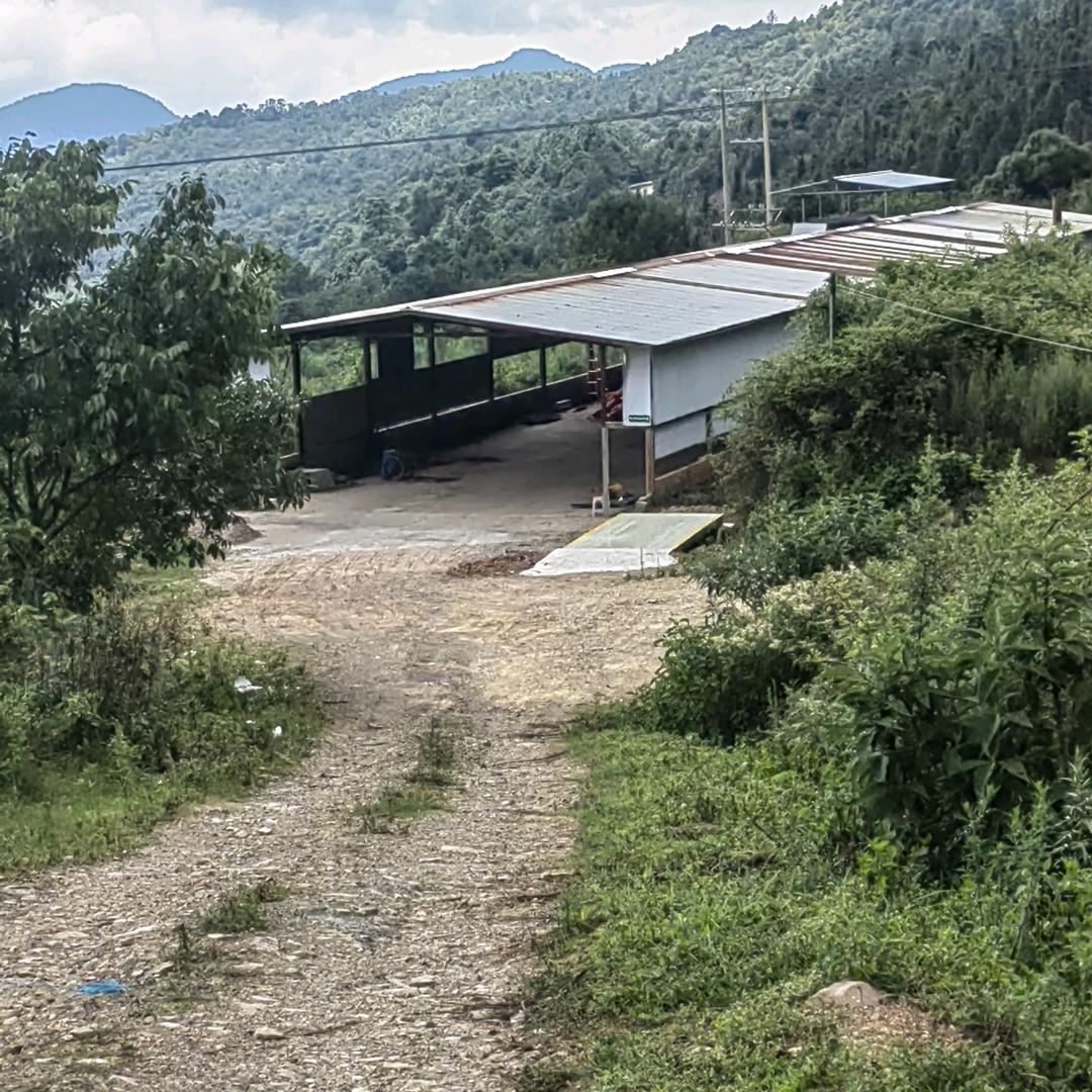 工业辣椒烘烤厂