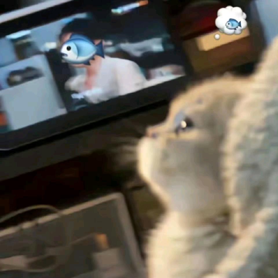 七个半@
